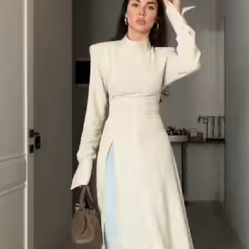 Women Formal Wear Office - 여성 우아한 하이넥 긴팔 맥시 드레스